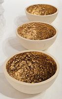 Shimmi Schadegg
